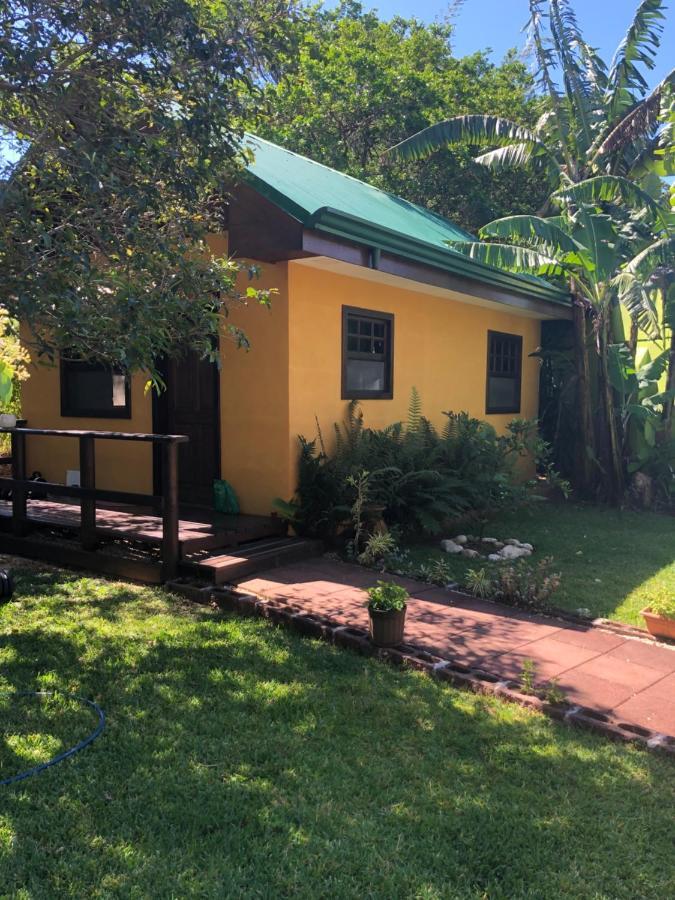 알라후엘라 Airport Rio Segundo Studio B&B 외부 사진