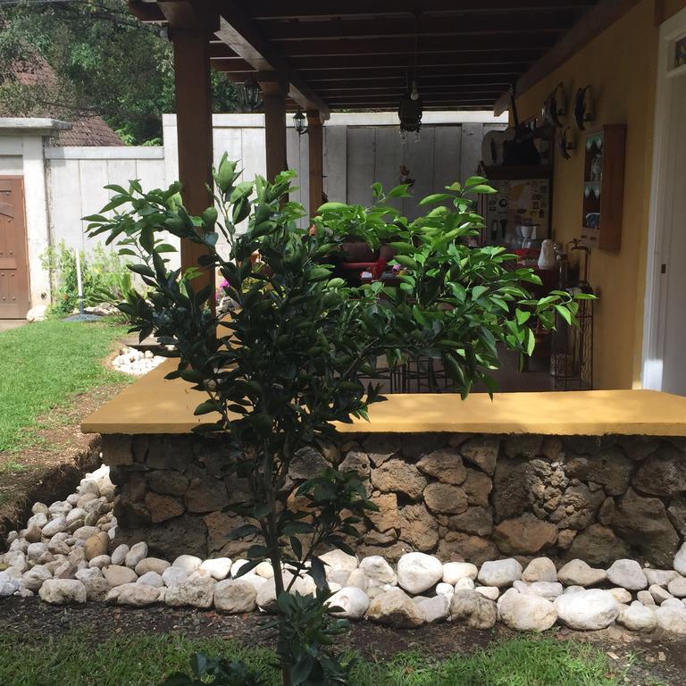 알라후엘라 Airport Rio Segundo Studio B&B 외부 사진